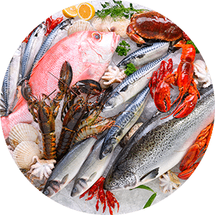 Cloisons du Midi conformité métier poissonnerie